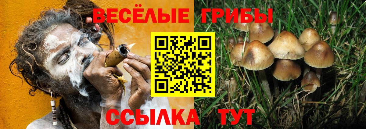 Галлюциногенные грибы мицелий Шелехов