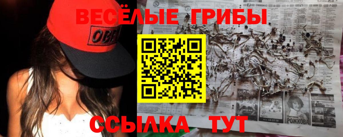 Шелехов  как найти   Вход с VPN  Галлюциногенные грибы Psilocybe 